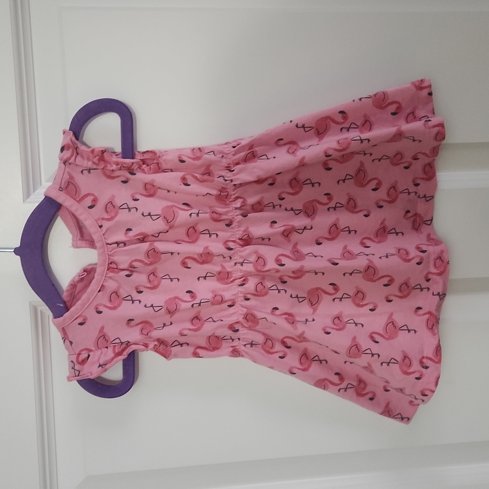 Carter's infant dress
